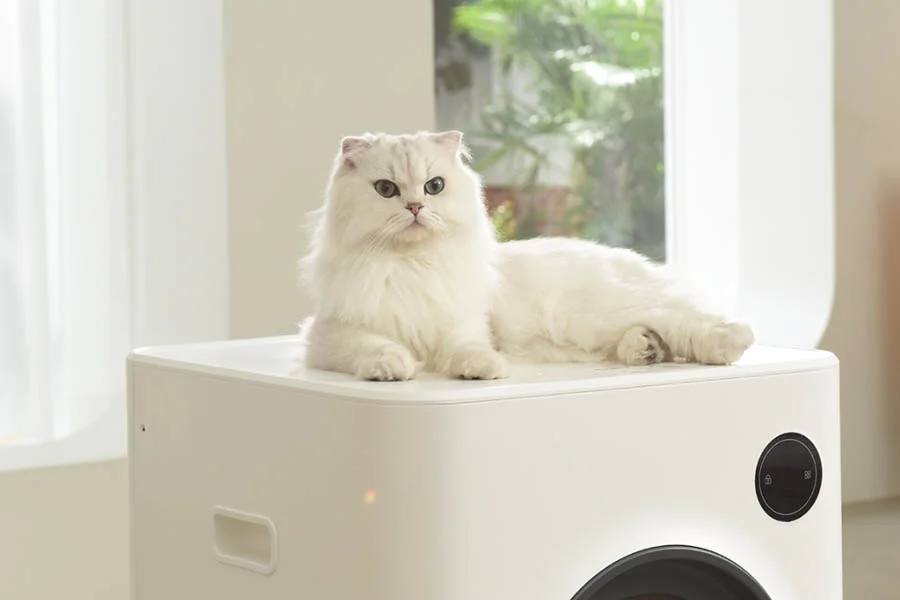 automatic cat litter pan